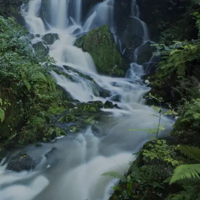 bus to crawfordsburn country park