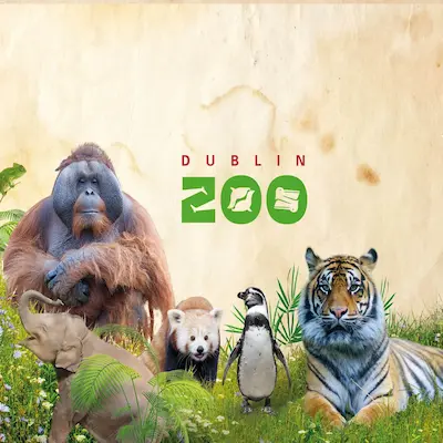 bus to dublin zoo